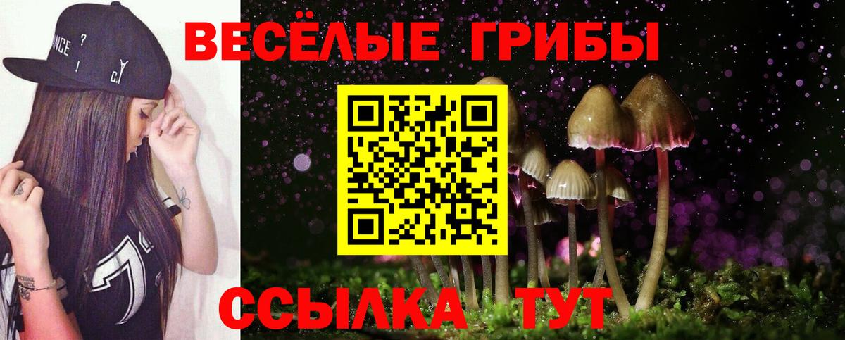 Псилоцибиновые грибы Psilocybine cubensis  Псилоцибиновые грибы GOLDEN TEACHER  Вход с VPN  Кропоткин 